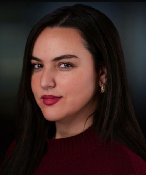 Sarah Bougrab, Avocat fiscaliste